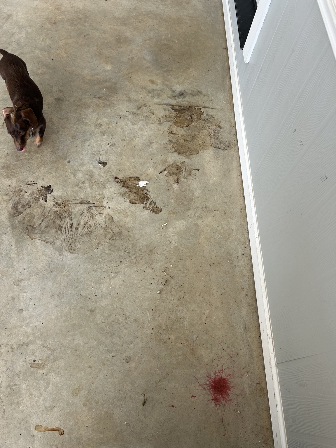 Stained garage concrete before coating