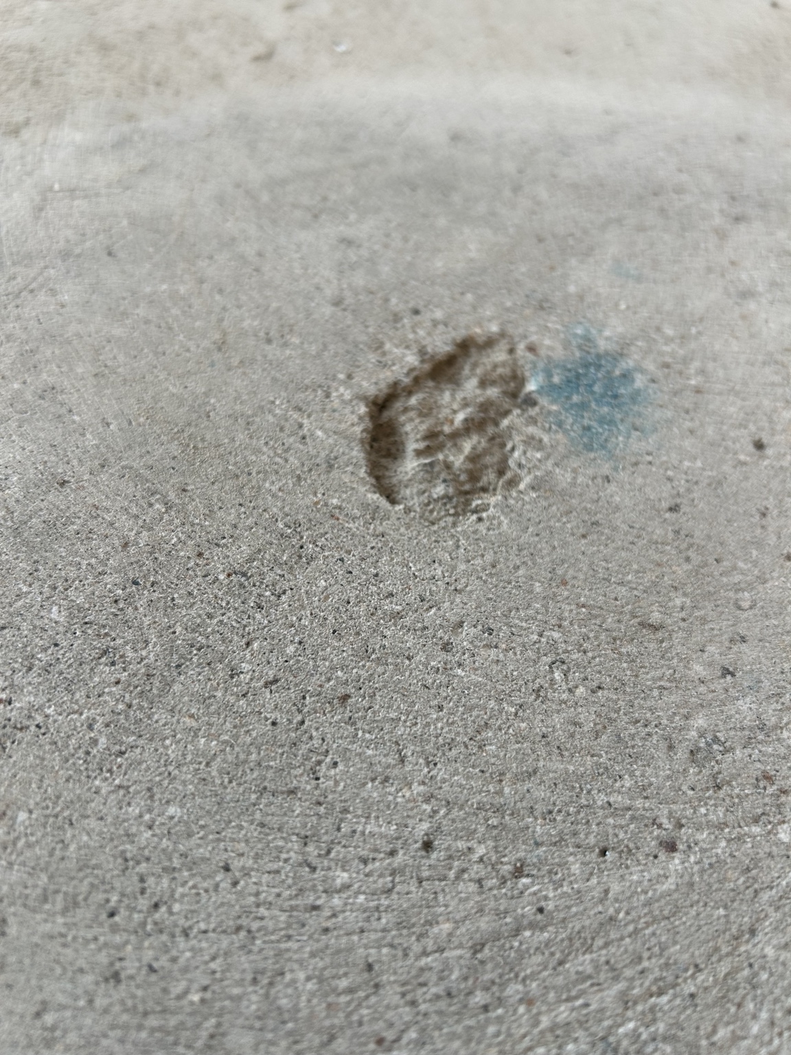 Concrete damage before garage floor coating
